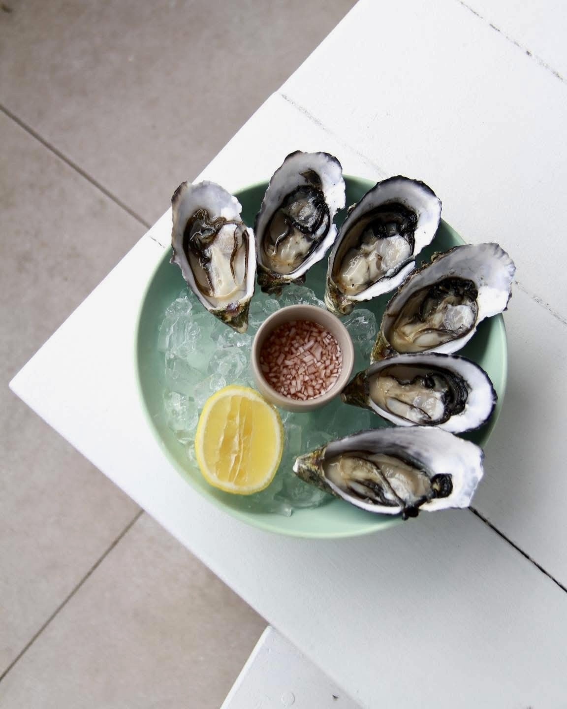 Fresh oysters on ice with mignonette sauce and lemon