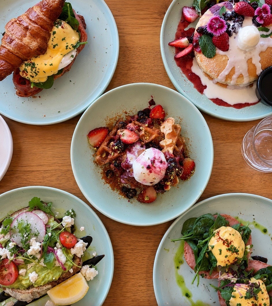 Gourmet brunch plates